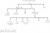 TREE-7.JPG