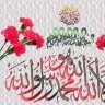 الطائر الحزين